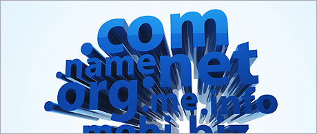 An all-embracing Domain Manager An all-embracing Domain Manager